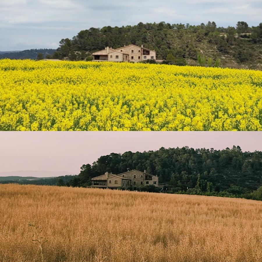 Cal Ros Bed & Breakfast Calonge de Segarra Dış mekan fotoğraf